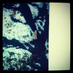 545591_3722807001420_1122229454_n