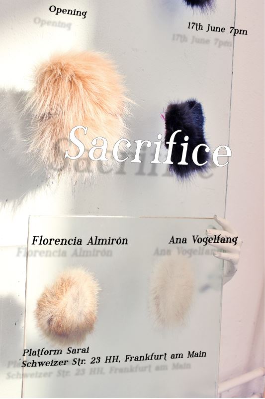 10410206_10203189308866058_2058933221219435942_n